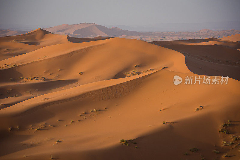 Erg Chebbi沙丘在摩洛哥撒哈拉沙漠日出